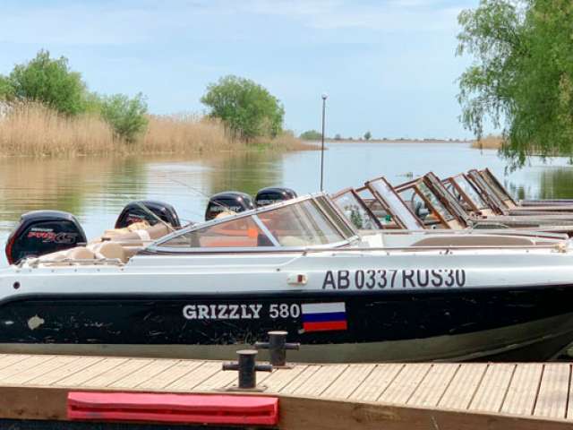 Grizzly 580DC