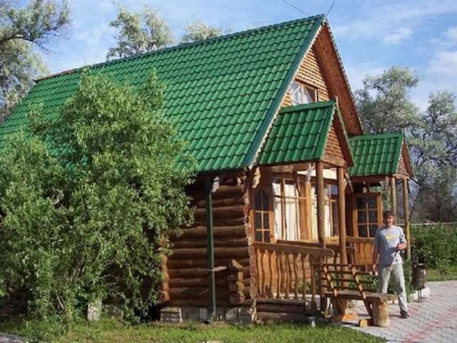 Гусь лапчатый