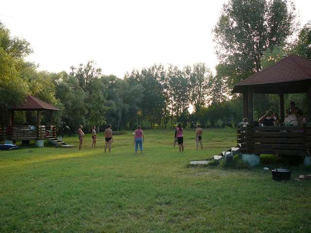 Пеликан